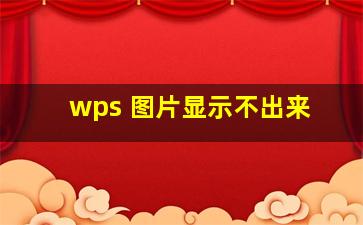 wps 图片显示不出来